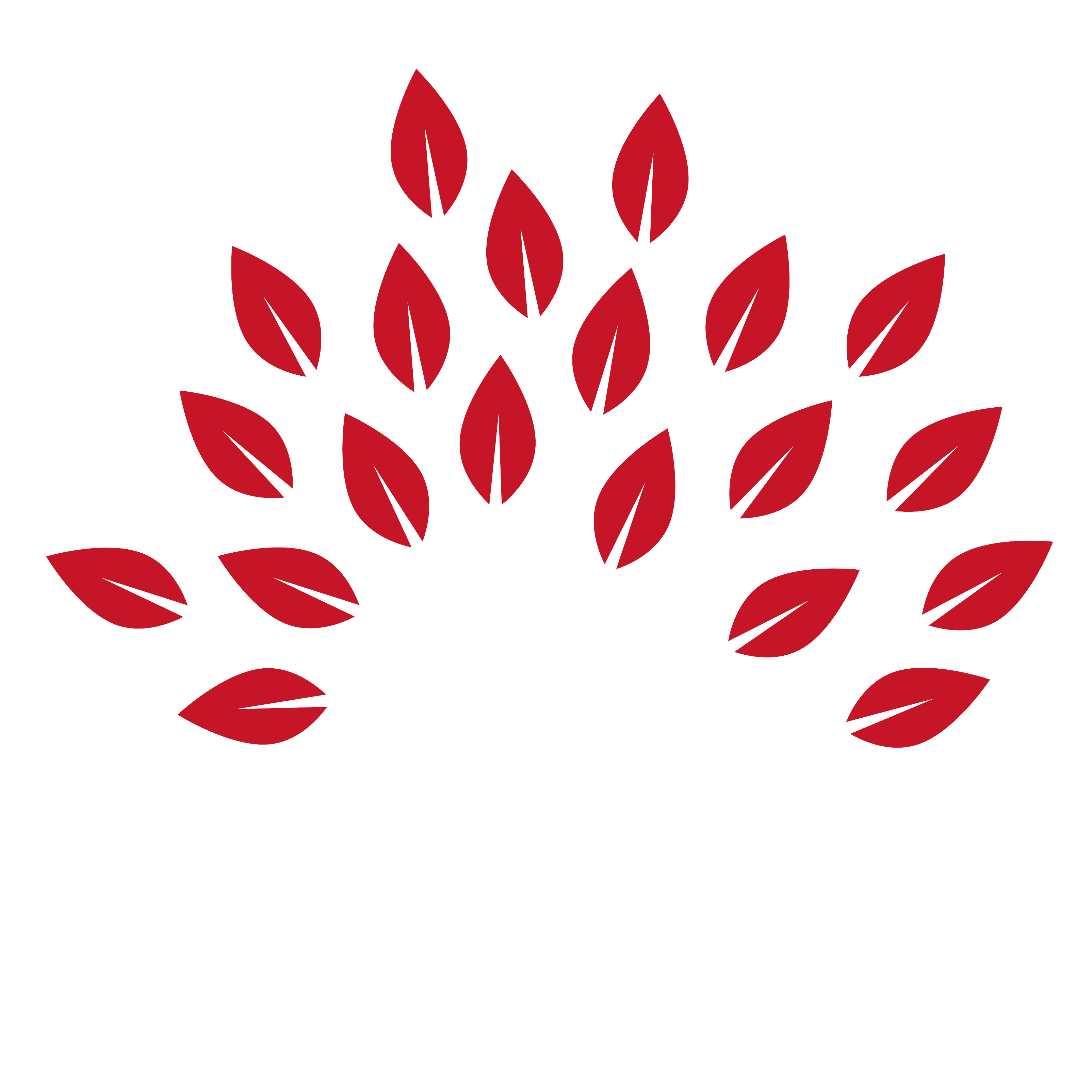 Turn-Key Human Resources